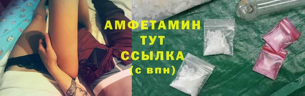 дживик Краснослободск