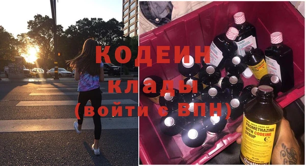 дживик Краснослободск