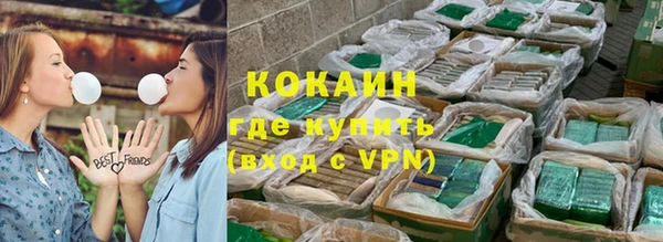 гашик Кулебаки