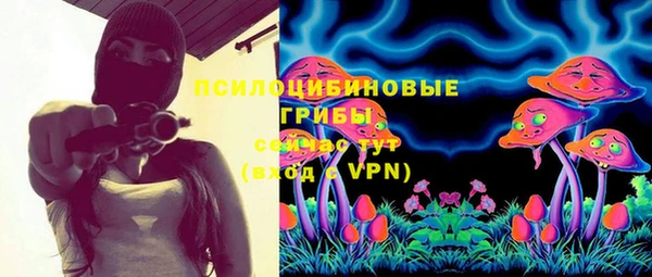 гашик Кулебаки