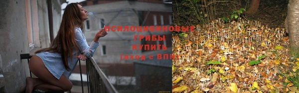 MESCALINE Краснотурьинск