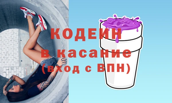 гашик Кулебаки
