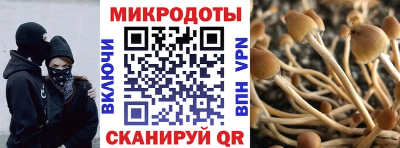 Купить закладки  Апрелевка  Галлюциногенные грибы MAGIC MUSHROOMS 